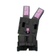 Black Bunny