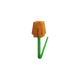 Orange Tulip