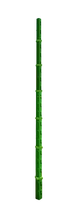 Bamboo