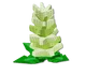 Romanesco